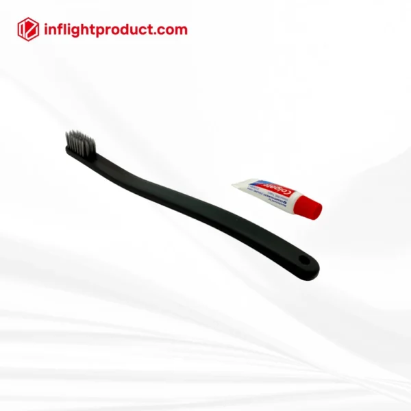Durable airline dental kit