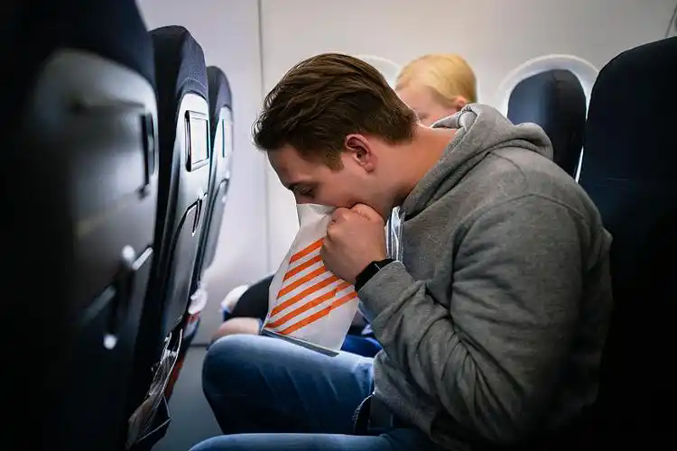 1.webp The Essential Guide to Airline Airsickness Bags: Design, Function, and Innovation